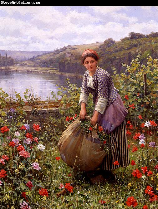 Daniel Ridgeway Knight The Grass Cutter